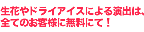 生花やドライアイスなどの演出は全てのお客様に無料にて！