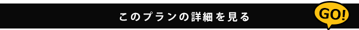 このプランの詳細を見る