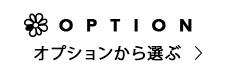 オプションから選ぶ