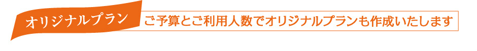 ご予算とご利用人数でオリジナルプランも作成いたします